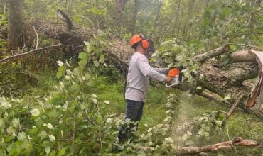 Emergency Storm Clean-Ups