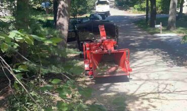 Wood Chipping & Disposal